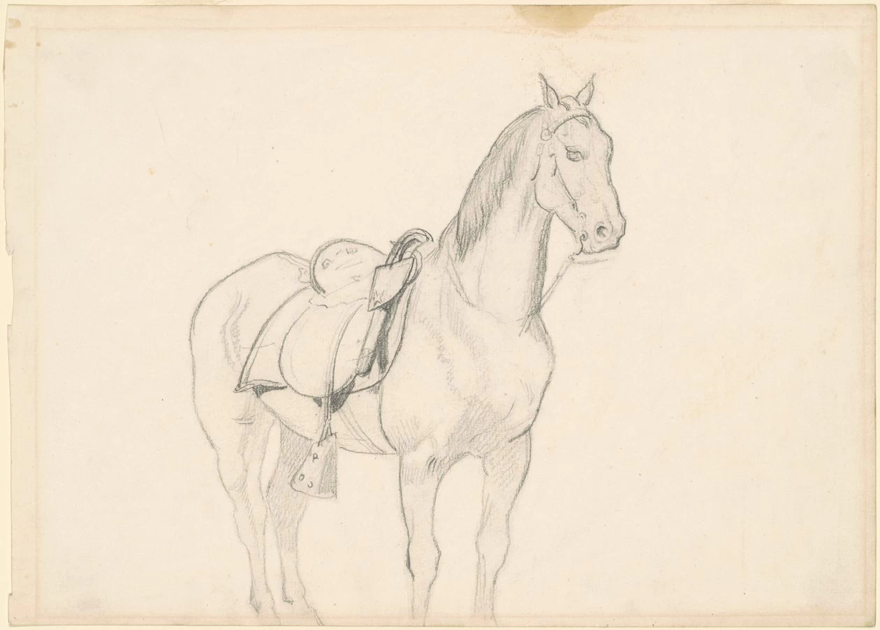 Cavallo